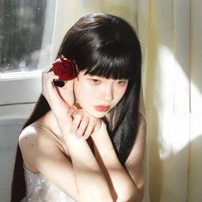菊石